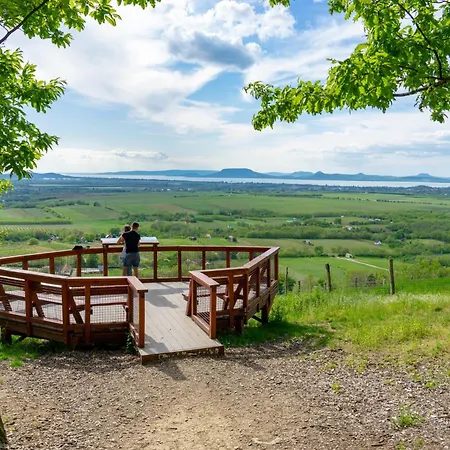 In 41941 Balatonlelle