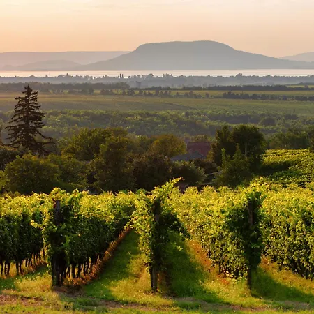 In 41941 Semesterbostad