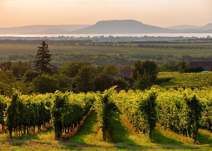 In 41941 Semesterbostad